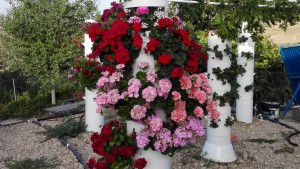 sistema new garden flores