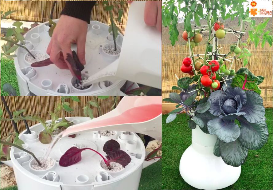 cultivo hidropónico para tomates