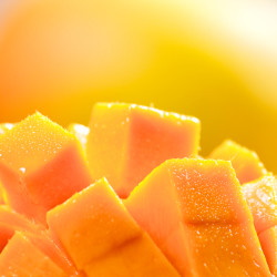 Cómo cultivar tus frutas tropicales en casa