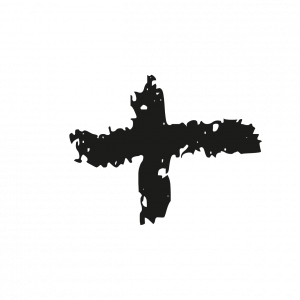 bioestimulante